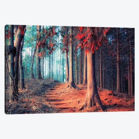 Magic Forest Canvas Print #EMN71} by Manjik Pictures Canvas Print