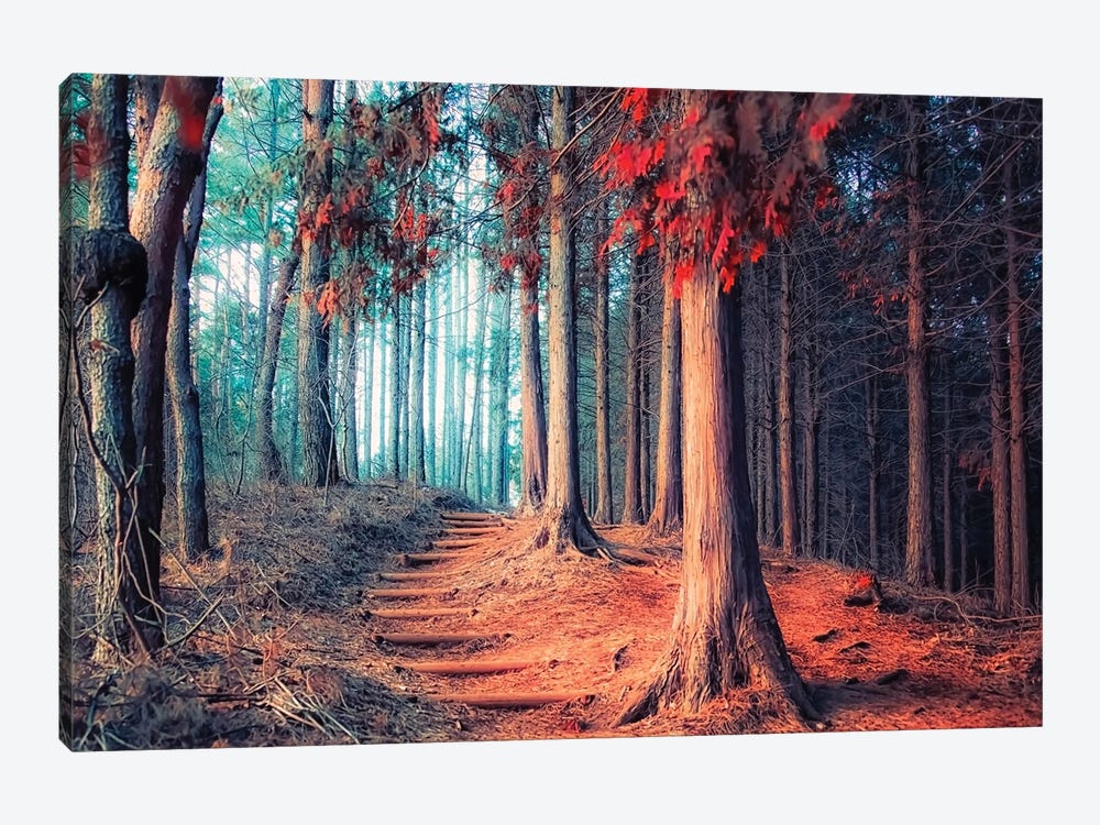 Magic Forest by Manjik Pictures 1-piece Canvas Artwork