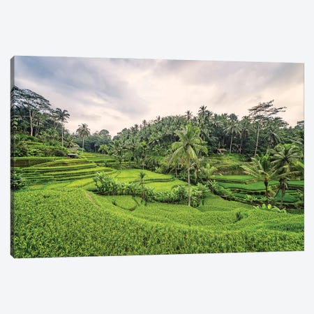 Bali Countryside Canvas Print #EMN726} by Manjik Pictures Canvas Art