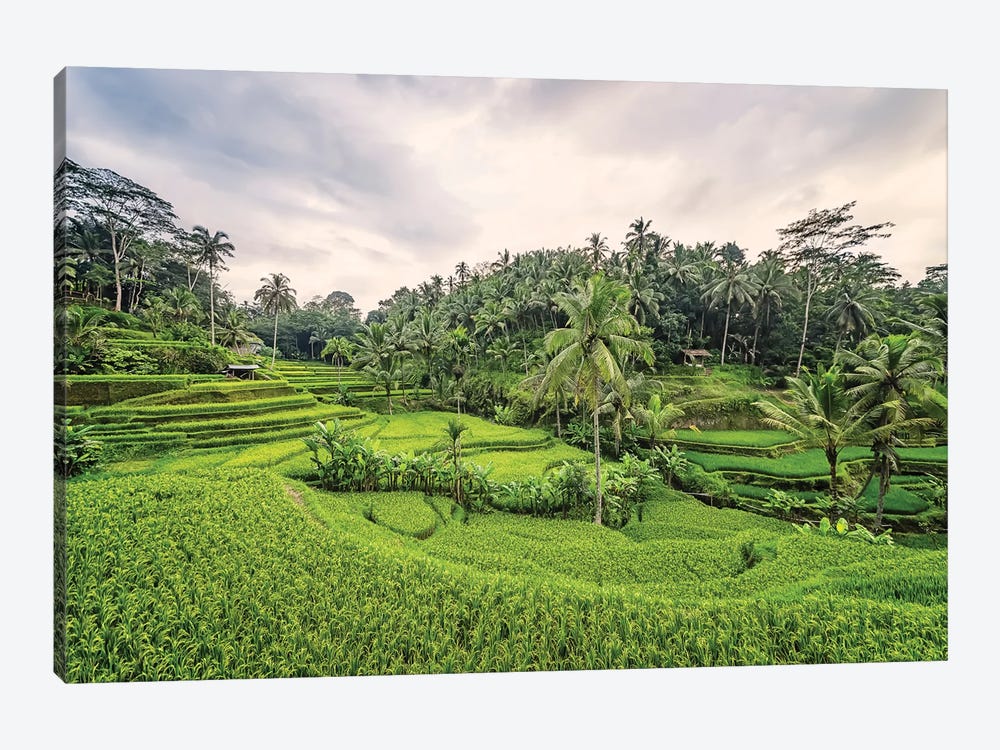 Bali Countryside by Manjik Pictures 1-piece Canvas Art