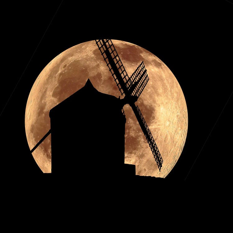 Silhouette by Manjik Pictures wall art