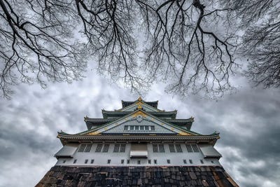 The Pearl Of Osaka by Manjik Pictures canvas print