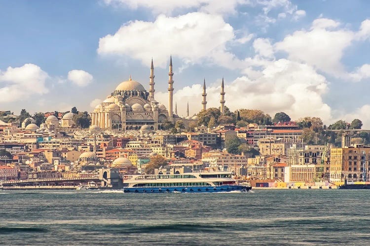 Istanbul From The Bosphorus by Manjik Pictures wall art