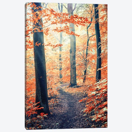 Into The Wood Canvas Print #EMN796} by Manjik Pictures Canvas Art Print