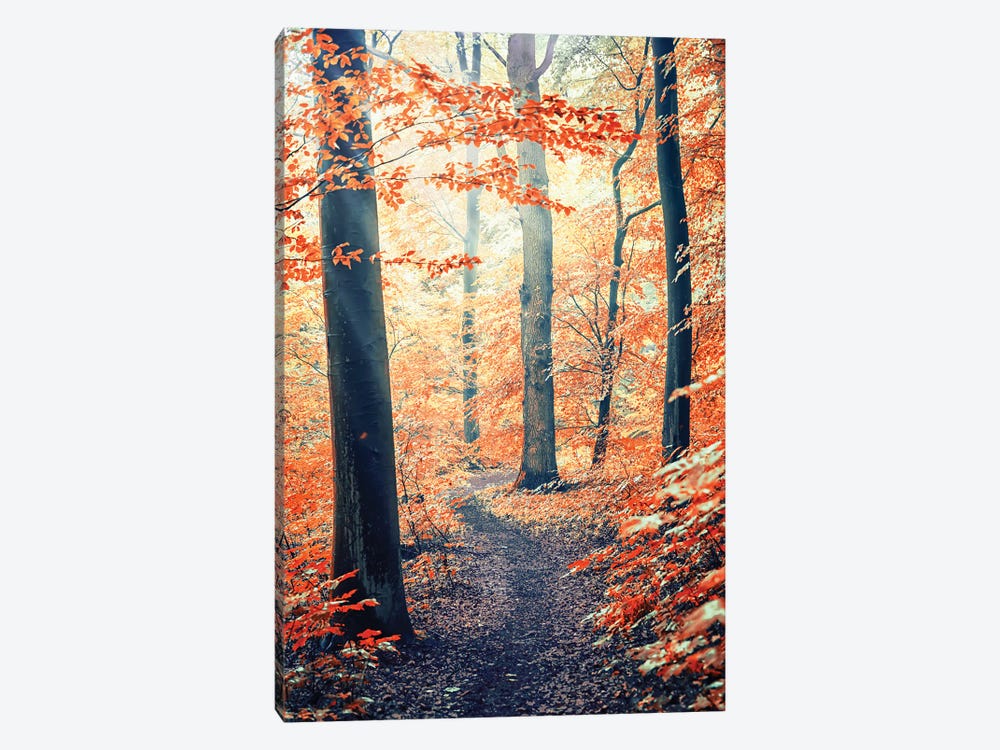 Into The Wood by Manjik Pictures 1-piece Art Print