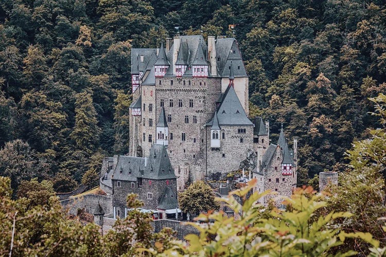 Eltz Castle by Manjik Pictures wall art