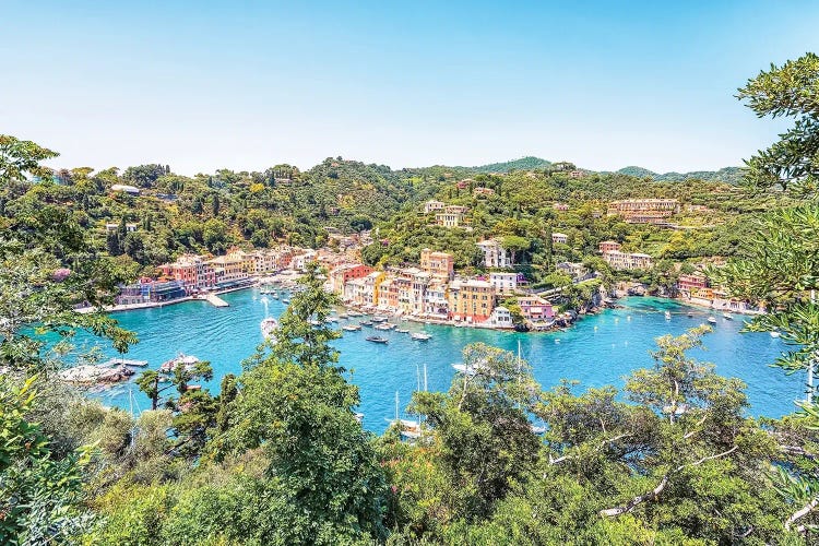 Portofino In The Summer by Manjik Pictures wall art
