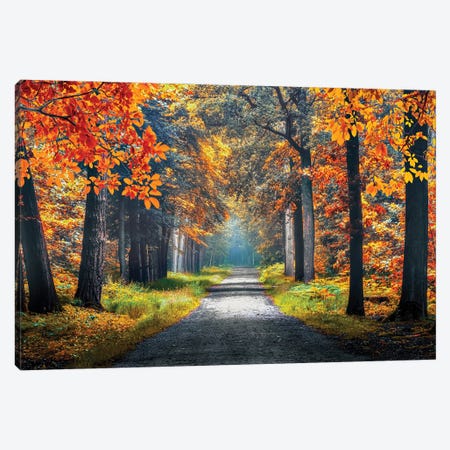 Autumn In Holland Canvas Print #EMN837} by Manjik Pictures Canvas Artwork