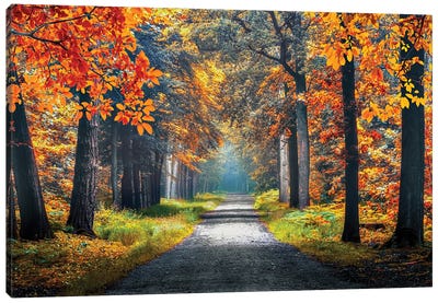 Autumn In Holland Canvas Art Print - Netherlands Art