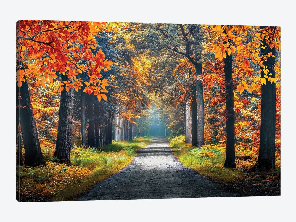 Autumn In Holland by Manjik Pictures 1-piece Canvas Artwork