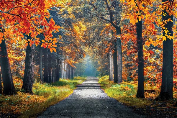 Netherlands: Autumn In Holland by Manjik Pictures