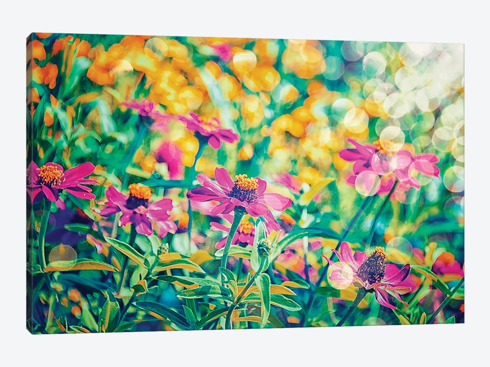 Garden In The Morning by Manjik Pictures 1-piece Canvas Artwork