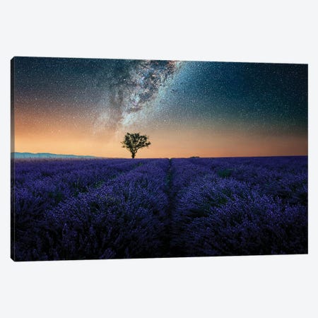 Night In Provence Canvas Print #EMN896} by Manjik Pictures Canvas Wall Art