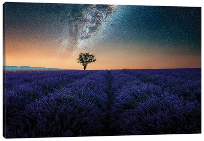 Night In Provence Canvas Art Print - Nebula Art
