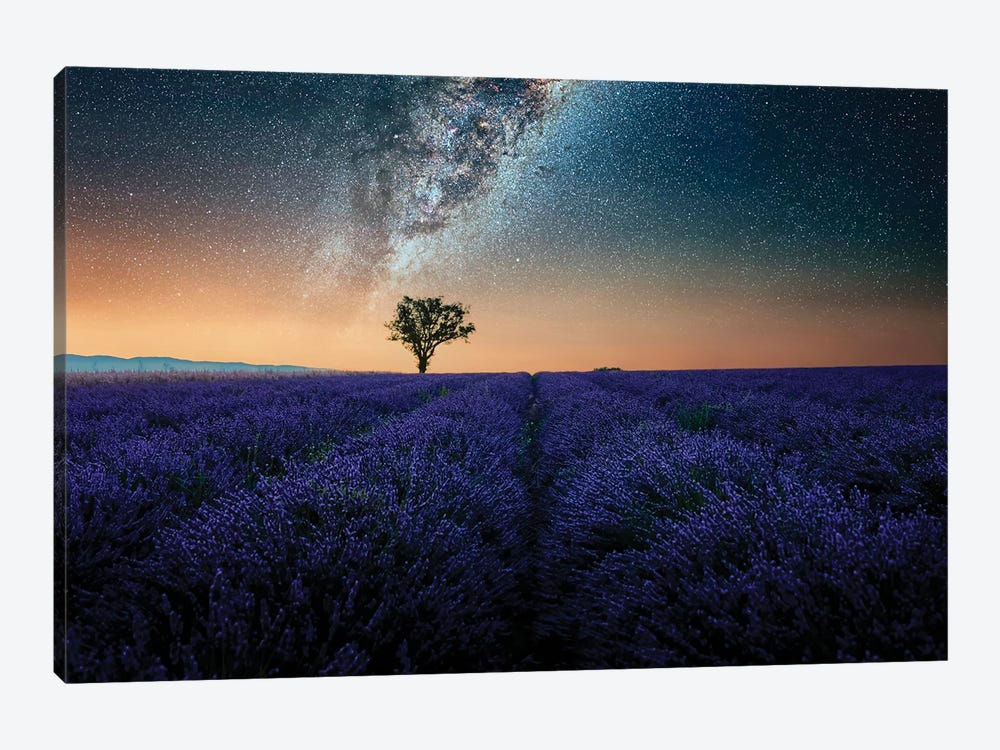 Night In Provence by Manjik Pictures 1-piece Canvas Art Print