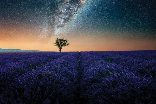 Provence-Alpes-Côte d'Azur: Night In Provence by Manjik Pictures