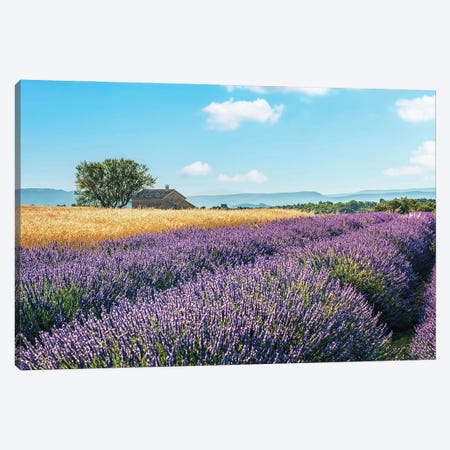French Countryside Canvas Print #EMN902} by Manjik Pictures Art Print