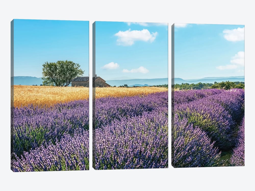 French Countryside by Manjik Pictures 3-piece Canvas Art Print