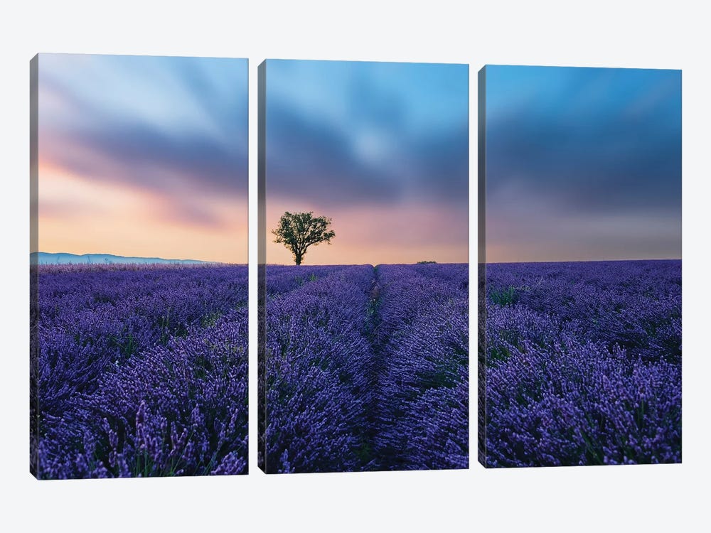 Valensole Sunset by Manjik Pictures 3-piece Canvas Wall Art