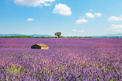 Cabin With A View by Manjik Pictures canvas print
