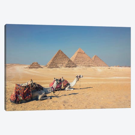Camels In Giza Canvas Print #EMN926} by Manjik Pictures Canvas Artwork