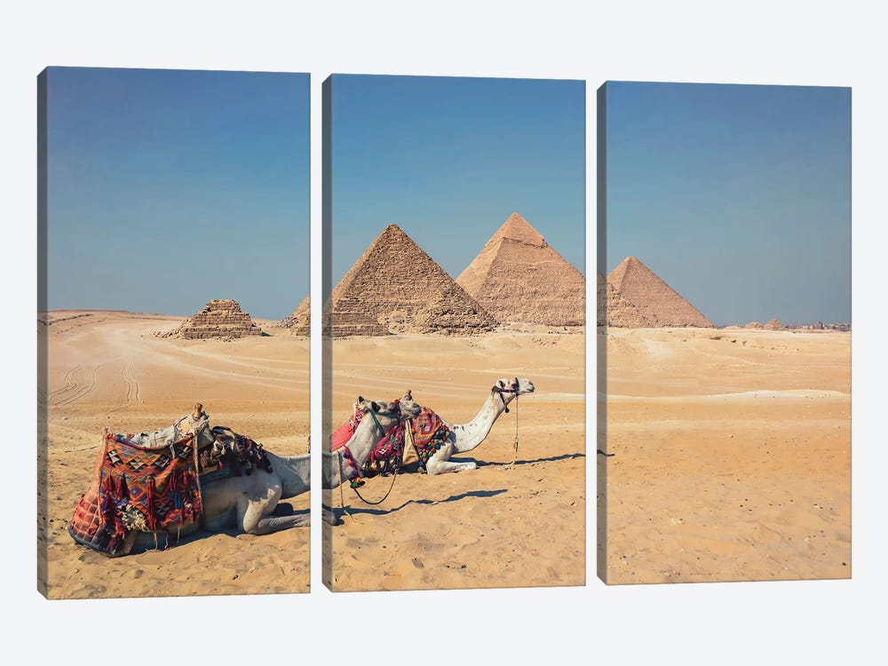 Camels In Giza by Manjik Pictures 3-piece Canvas Print