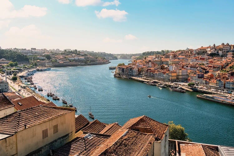 Douro River by Manjik Pictures wall art