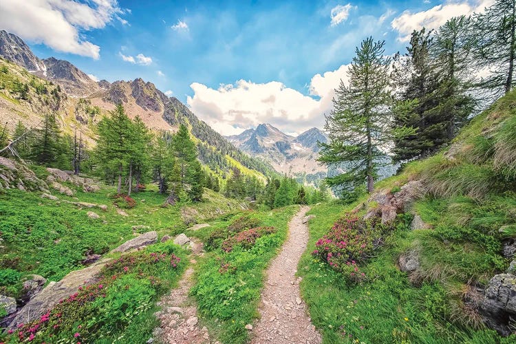 French Alps by Manjik Pictures wall art