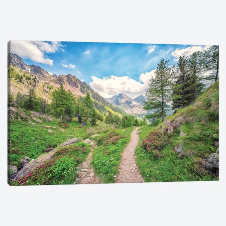 French Alps Canvas Print #EMN962} by Manjik Pictures Art Print