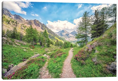 French Alps Canvas Art Print - Manjik Pictures