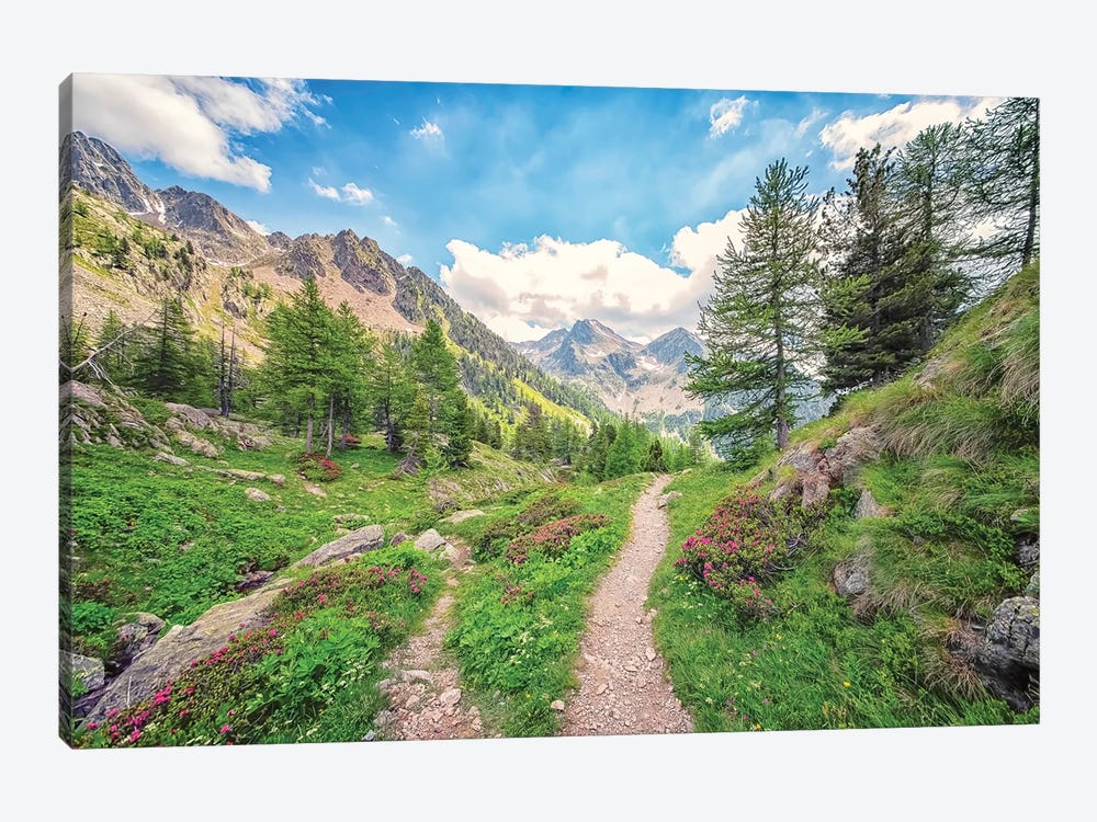 French Alps by Manjik Pictures 1-piece Canvas Print