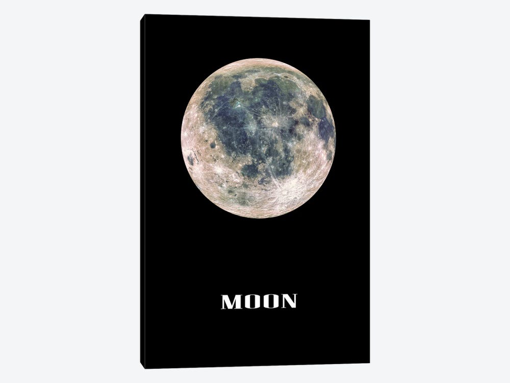 Moon by Manjik Pictures 1-piece Canvas Art