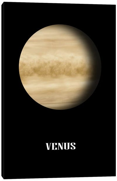 Venus Canvas Art Print