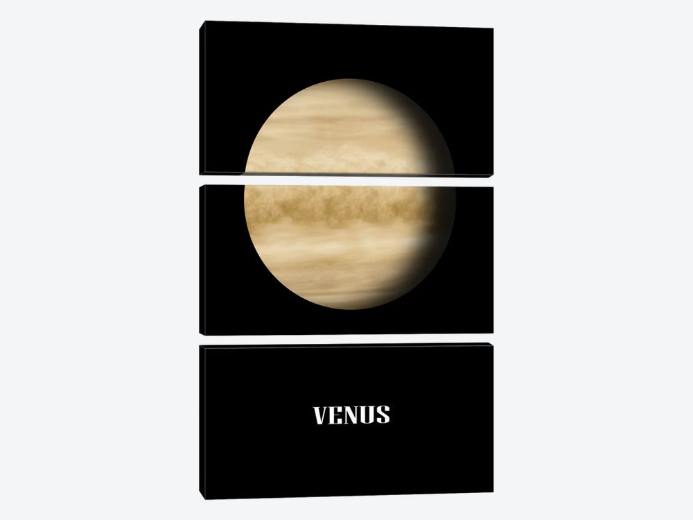 Venus by Manjik Pictures 3-piece Art Print