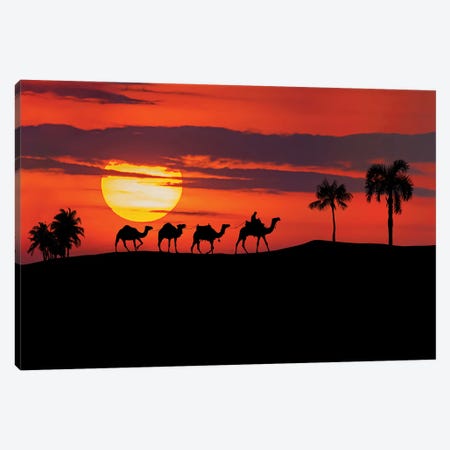 Egyptian Sunset Canvas Print #EMN992} by Manjik Pictures Canvas Wall Art