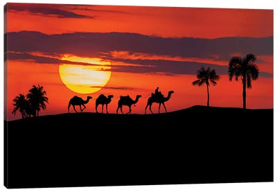 Egyptian Sunset Canvas Art Print - Egypt