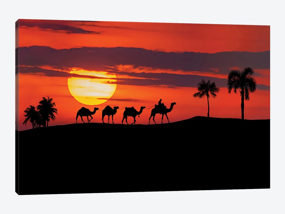 Egyptian Sunset by Manjik Pictures 1-piece Canvas Art