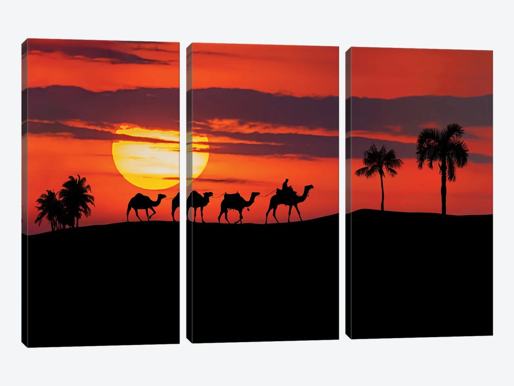 Egyptian Sunset by Manjik Pictures 3-piece Canvas Wall Art