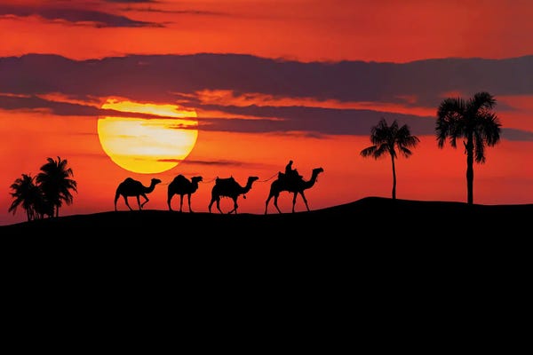 Photography: Egyptian Sunset by Manjik Pictures