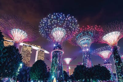 Gardens By The Bay by Manjik Pictures canvas print