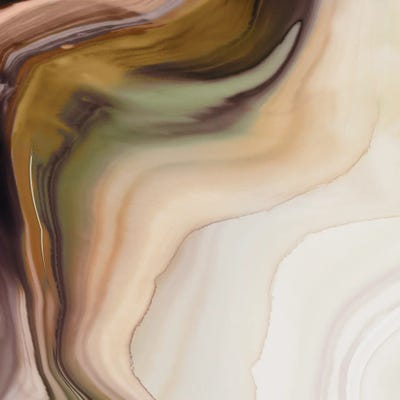 Flowing Earth Tones Abstraction I