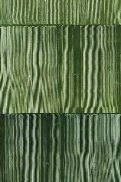 Green Stripes In Parallel Harmony I