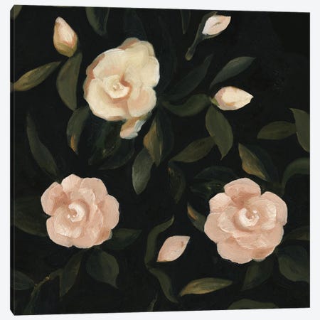 Evening Gardenias II Canvas Print #EMS10} by Emma Scarvey Canvas Art