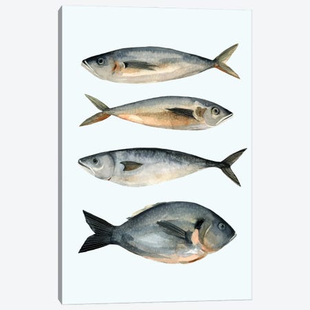 Four Fish I Canvas Print #EMS13} by Emma Scarvey Canvas Artwork