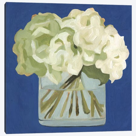 White Hydrangeas II Canvas Print #EMS140} by Emma Scarvey Canvas Print