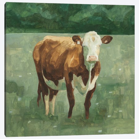 Hereford Cattle I Canvas Print #EMS152} by Emma Scarvey Canvas Artwork