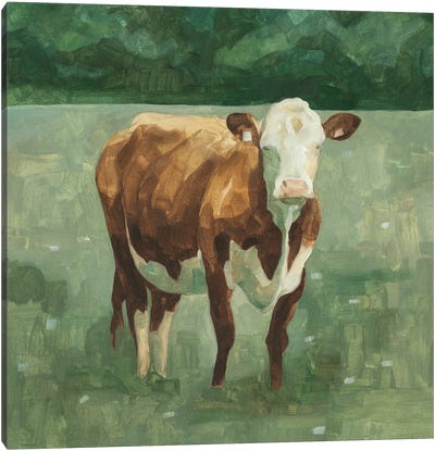 Hereford Cattle I Canvas Art Print - Emma Scarvey