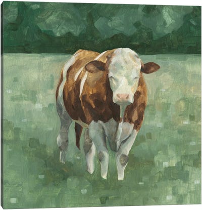 Hereford Cattle II Canvas Art Print - Green Art