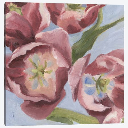Mauve Tulips I Canvas Print #EMS15} by Emma Scarvey Art Print