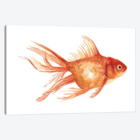 Ornamental Goldfish II Canvas Print #EMS161} by Emma Scarvey Canvas Print
